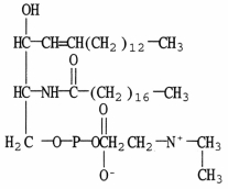 <strong>The molecule shown can be classified as a(an) </strong> A)wax. B)glycerophospholipid. C)sphingolipid. D)glycolipid. E)triacylglycerol.