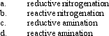 Instructions: Consider the reaction below to answer the following question(s). Methamphetamine can be synthesized by reacting phenyl-2-propanone with methylamine in the presence of H<sub>2</sub>/Ni. Refer to instructions. The synthesis of methamphetamine by reaction of 2-phenyl-2 propanone with methylamine in the presence of H<sub>2</sub>/Ni is referred to as: