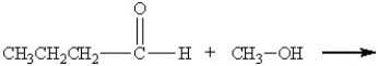 <strong>What is the major organic product of the following reaction? </strong> A) B) C) D)