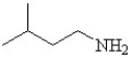 <strong>Which is the correct structure for 3-methyl butanamide?</strong> A) B) C) D) E)