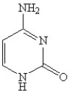 <strong>Which of the following is(are)a purine base found in nucleic acids?</strong> A) B) C) D) E)A and C