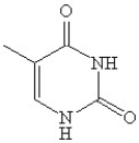 <strong>Which of the following is(are)a purine base found in nucleic acids?</strong> A) B) C) D) E)A and C