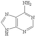<strong>Which of the following is(are)a pyrmidine base found in nucleic acids?</strong> A) B) C) D) E)B and D