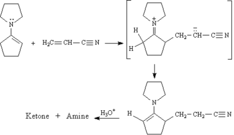 Exhibit 23-10 Consider the reaction below to answer the following question(s). The Stork enamine reaction is a variation on the Michael reaction which utilizes an enamine nucleophile. -Refer to Exhibit 23-10.Draw the structures of the Ketone + Amine products of this reaction.