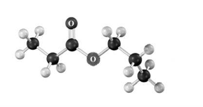Draw the products of the Claisen condensation of the following substance.Atoms other than carbon and hydrogen are labeled.