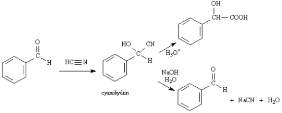 Exhibit 19-2 Consider the data below to answer the following question(s). Cyanohydrins are important intermediates in the synthesis of α-hydroxycarboxylic acids from ketones and aldehydes.The nitrile functional group can be hydrolyzed by aqueous acid to yield a carboxylic acid.Nitriles can also be hydrolyzed to carboxylic acids using aqueous base.Unfortunately,when a cyanohydrin is treated with aqueous base the original carbonyl compound is isolated. -Refer to Exhibit 19-2.Identify the electrophile in the reaction of benzaldehyde with hydrogen cyanide.