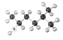 <strong>Consider the following species.Atoms other than carbon and hydrogen are labeled. Which of the following would be produced upon treatment with I<sub>2</sub>?</strong> A) B) C) D)