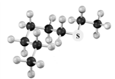 <strong>What is the product formed upon treatment of the following substance with hydrogen peroxide at room temperature,followed by treatment with a peroxyacid? Atoms other than carbon and hydrogen are labeled. </strong> A) B) C) D)