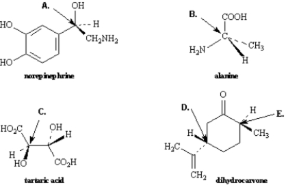 Exhibit 5-3 Assign R,S configurations to each indicated chirality center in the molecules below. -Refer to Exhibit 5-3.The configuration of this carbon atom (E) is _____.