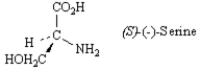 Exhibit 5-6 Refer to the structure below to answer the following question(s). -Refer to Exhibit 5-6.Draw the enantiomer of (S)-(−)-serine in a wedge-dash projection.