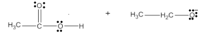 What are the products of the following reaction?