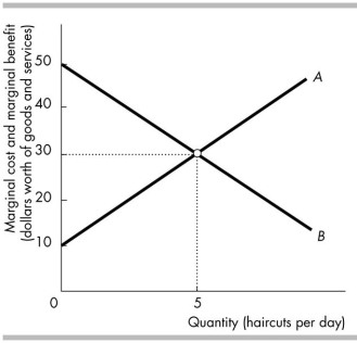 <strong> The figure above illustrates the market for haircuts. Curve A is the _______ curve, and curve B is the _______ curve.</strong> A) opportunity cost; opportunity benefit B) marginal social cost; marginal social benefit C) total social cost; total social benefit D) marginal social benefit; marginal social cost