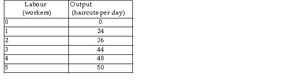 <strong> The above table has the total product schedule for Joe's Barber Shop. Joe charges $6 per haircut. If the wage rate is $24 per worker, what quantity of labour will maximise profits?</strong> A) 2 workers B) 5 workers C) 4 workers D) 1 worker