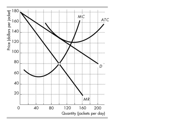 <strong> In the figure above, what is Gap's excess capacity?</strong> A) 4 jackets per day B) 132 jackets per day C) Zero D) 32 jackets per day