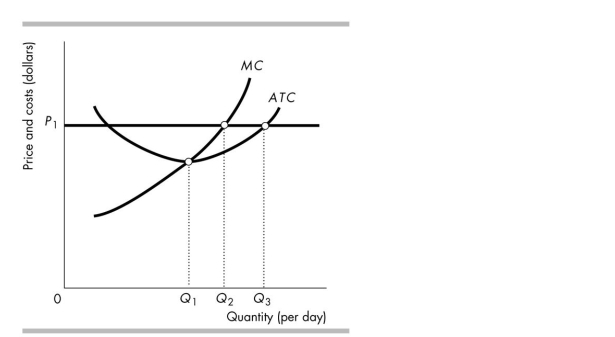 <strong> In the above figure, if the price is P1, the firm will produce</strong> A) where ATC equals P1. B) nothing. C) where MC equals P1. D) where MC equals ATC.