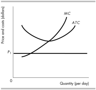 <strong> Suppose the cost curves in the above figure apply to all firms in the market. Then, if the initial price is P1, in the long run the market</strong> A) supply will increase. B) supply will decrease. C) demand will increase. D) demand will decrease.