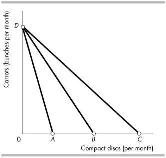 <strong> In the figure above, suppose the original budget line is BD. A rise in the price of a compact disc will</strong> A) rotate the budget line to CD. B) result in a parallel leftward shift of the budget line. C) not move the budget line. D) rotate the budget line to AD.