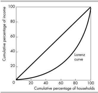 <strong> The Lorenz curve in the above figure implies that</strong> A) the highest fifth of households account for less than 20 per cent of income. B) income is equally distributed. C) the lowest fifth of households account for less than 20 per cent of income. D) the lowest fifth of households account for more than 20 per cent of income.