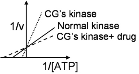 C.G.is a 30-year-old retired stockbroker who has developed possible skin cancer while sailing in Polynesia.A skin biopsy is analyzed for cyclin-dependent kinase activity at different concentrations of the cosubstrate adenosine triphosphate (ATP).The results are shown in Figure 4.7.   The apparent effect of the drug on C.G.'s kinase activity is to: