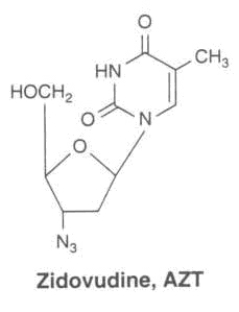 Azidothymidine (AZT; also called zidovudine) is a structural analog of thymidine.On the basis of its structure, what is its most likely mode of action against the human immunodeficiency virus (HIV)?