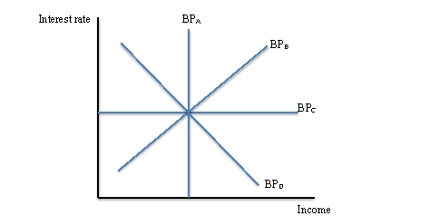 <strong>Use this graph to answer questions 21 and 22. Figure 13.3: Using Figure 13.3,if a country experiences less than perfect capital mobility,the BP curve has a shape like:</strong> A) BP<sub>A</sub> B) BP<sub>B</sub> C) BP<sub>C</sub> D) BP<sub>D</sub>