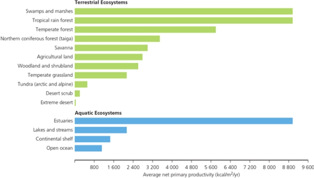 ECO GRAPH -According to the graph,which two terrestrial ecosystems produce the fewest kilocalories of energy per year?