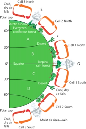 AIR -Which letter in the diagram corresponds to moist air rising and forming precipitation?