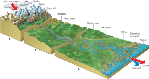 LAND ZONES -Which letter in the diagram corresponds to the zone containing headwater streams?