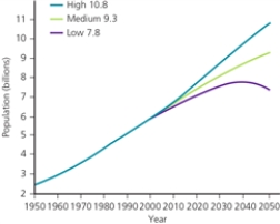 WORLD POPULATION GRAPH -According to the graph,what is the highest projected world population for the year 2040?
