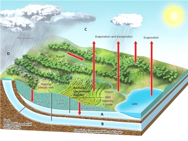 WATER   Which letter in the diagram corresponds to the graph that represents the total amount of freshwater and saltwater in the world?<div style=padding-top: 35px> 
