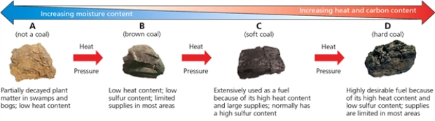 COAL    -Which letter in the diagram corresponds to the type of coal called bituminous coal?