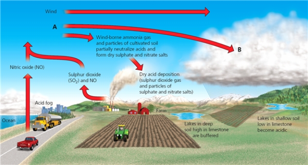 WIND -Which letter in the diagram corresponds to the transformation to sulphuric acid and nitric acid?