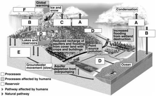 Match the items listed below with the appropriate choice -On the figure of the hydrological cycle, choose the letter that represents transpiration.
