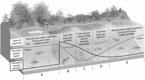 MATCHING -On the dilution and decay of degradable wastes figure, choose the zone in which the water has recovered from oxygen-demanding wastes and heat.