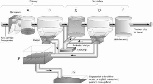 Match the items listed below with the appropriate choice -On the primary and secondary sewage treatment figure, choose the letter that represents where suspended solids settle out as sludge in the physical process of sewage treatment.