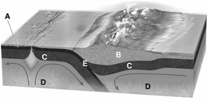 Match the items listed below with the appropriate choice On the figure of the tectonic plates, choose the letter that represents the continental crust.