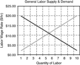-Refer to the above figure. Suppose the government imposes a minimum wage rate of $20.00 per hour. This will likely result in