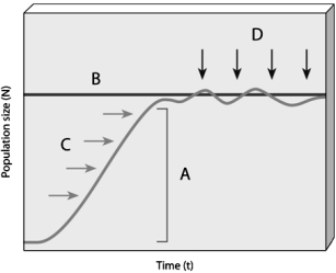 Use the Figure above to answer the following question(s). -Choose the letter that represents a population's capacity for growth.