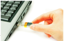   -The accompanying figure shows a(n)____________________ drive.