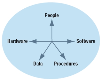 -The figure above shows the components of a(n)information system.