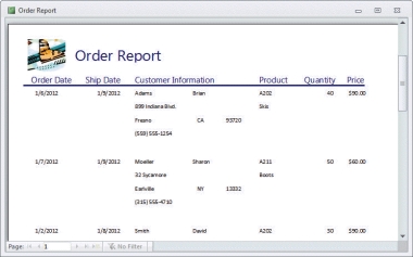 -The figure above illustrates a ____,created from data contained in a database.