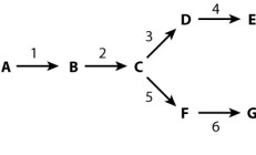 In the metabolic pathway illustrated below, the starting material (substrateA )is converted equally to one of two end products, E or G. Use the diagram of the pathway below to answer the following questions. Letters indicate the substrates and products, and numbers indicate the enzymes. In this pathway, the intermediate, C, is a substrate for both enzyme 3 and enzyme 5 and is converted with equal efficiency to D and F. If end product E inhibits enzyme 1, which of the following would you expect to observe?