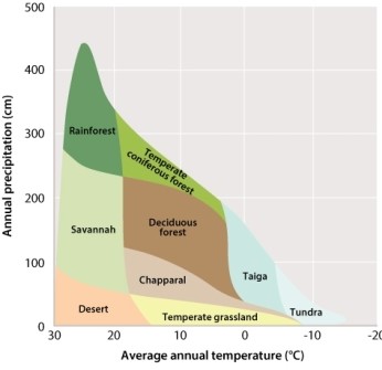 <strong>Most terrestrial biomes are defined by their average annual temperature and precipitation, and the range of values can be organized in such a way to produce the figure below. Current predictions of global climate change indicate that temperatures may rise by as much as 5°C in some areas. Imagine a chaparral location that experiences 100 cm of average annual rainfall and an average annual temperature of 15°C. If there were an increase of 5°C, what would you expect?</strong> A)The area under the curve for chaparral would shift to the left. B)The area under the curve for chaparral would shift up. C)The region would still be classified as chaparral because rainfall did not change. D)The region would be become a savanna.