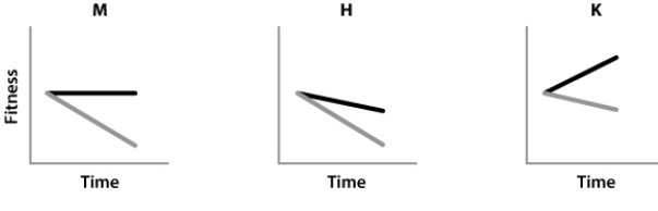 <strong>Competition for resources occurs often within communities. The black line represents the change in fitness for one species, and the gray line represents the change in fitness for another species. Which of the following graphs represents the change in fitness when there is competition for the same resource?  </strong> A)graph M B)graph H C)graph K <div style=padding-top: 35px> 