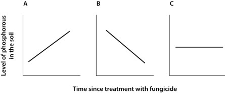 <strong>A gardener applies a specific fungicide to her plot that kills all mycorrhizal fungi. Which of the graphs below depicts changes in the amount of phosphorus in the soil after application of the fungicide? </strong> A)graph A B)graph B C)graph C