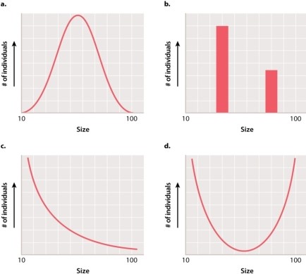 <strong>Which of the graphs below would likely represent the distribution of a complex trait? </strong> A)graph A B)graph B C)graph C D)graph D