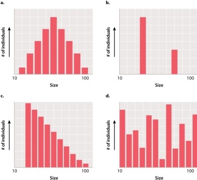 <strong>Which of the graphs below would likely represent the distribution of a simple, single gene trait? </strong> A)graph A B)graph B C)graph C D)graph D