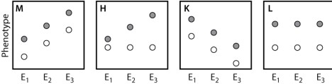 <strong>The plots shown here depict several possible outcomes of an experiment comparing the mean phenotype of a behavioral trait in two strains of mice in three environments. Strain 1 is represented by filled circles and Strain 2 is represented by open circles. Environment 1 (E<sub>1</sub>) is deficient in stimulation for the behavior, environment 2 (E<sub>2</sub>) has an average level of stimulation, and environment 3 (E<sub>3</sub>) is enriched in stimulation. Which of the possible results indicates the presence of genotype-by-environment interaction for one or both of the strains? </strong> A)result M B)result H C)result K D)result L E)None of the answer options is correct.
