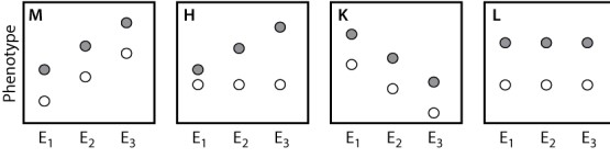 <strong>The plots shown here depict several possible outcomes of an experiment comparing the mean phenotype of a behavioral trait in two strains of mice in three environments. Strain 1 is represented by filled circles and Strain 2 is represented by open circles. Environment 1 (E<sub>1</sub>) is deficient in stimulation for the behavior, environment 2 (E<sub>2</sub>) has an average level of stimulation, and environment 3 (E<sub>3</sub>) is enriched in stimulation. Which of the possible results indicates the absence of genotype-by-environment interaction? </strong> A)result M B)result H C)result K D)result L E)None of the answer options is correct.