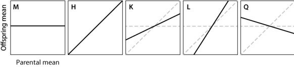 <strong>In which of the complex traits shown here is variation determined almost completely by heredity? </strong> A)trait M B)trait H C)trait K D)trait L E)trait Q